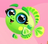 Nicefish