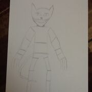 Xenon the cat