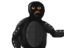 Ted the tortoise