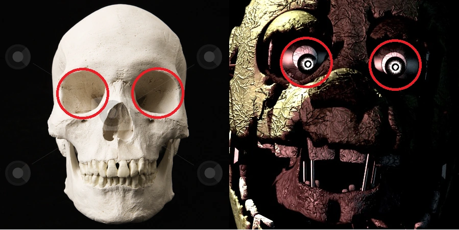 Фото Спрингтрапа Фото Спрингтрапа