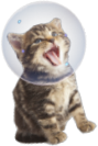 7486
