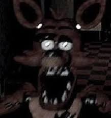 Foxy 8