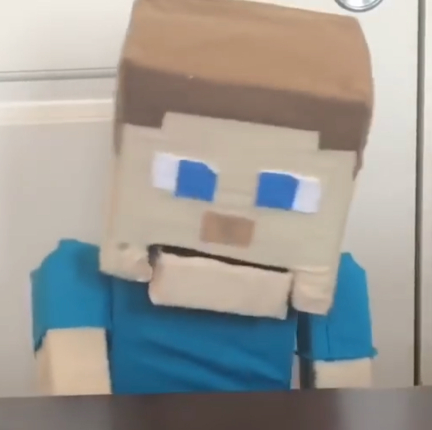 lego minecraft puppet steve