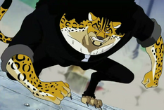 Rob Lucci | Five World War Wikia | Fandom