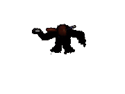 FoxynSC