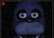 Bonnie face