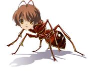 Ant