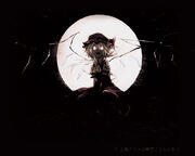 CUTE FLANDRE!