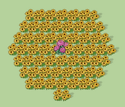 Variety Distribution