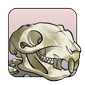 Squirrel Skull (old)