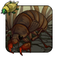are cicadas blind are cicadas blind