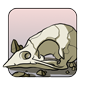 Sparrow Skull-Old