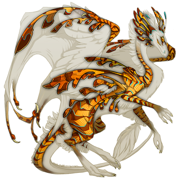 leafy sea dragon facts