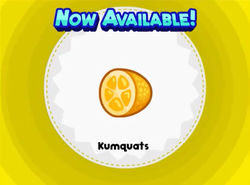Kumquate