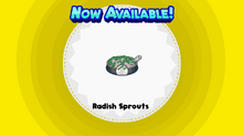 Radish Sprouts (HHD)