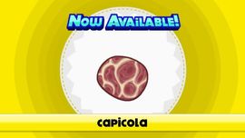 Capicola
