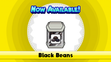 Black Bean TMTG