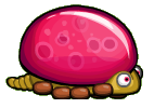 JellyBack