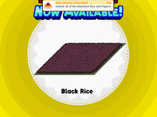 Black Rice S