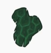 Spinach