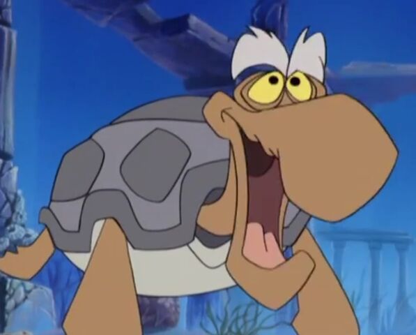 File:Calabash Turtle.jpg