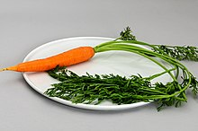 Carrot