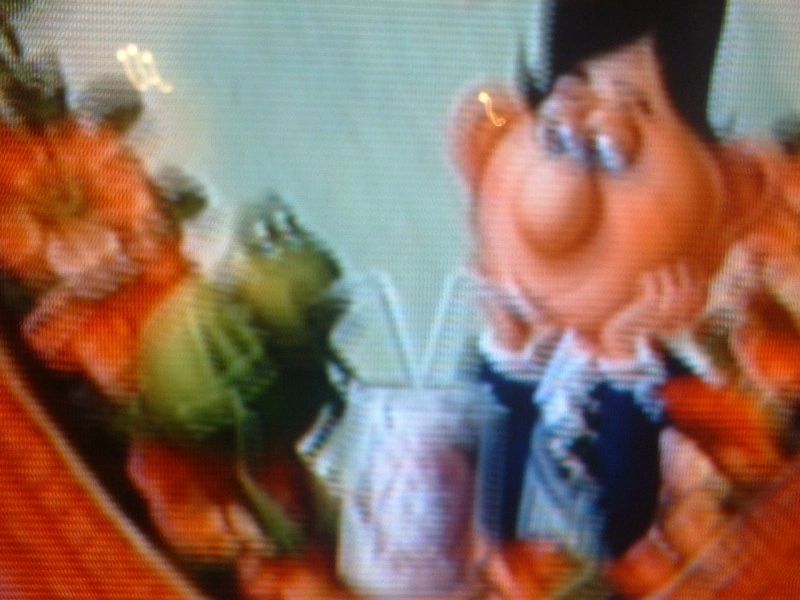 Image Flushed Away Charles and Toad.png Flushed Away Wiki FANDOM