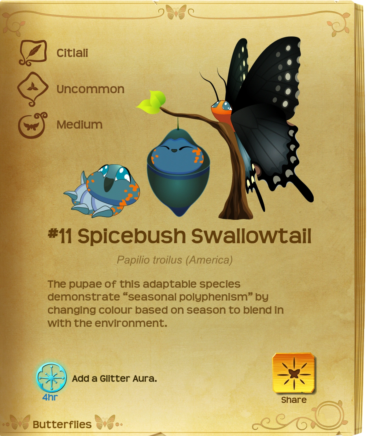 Image Spicebush Swallowtail§Flutterpedia.png Flutter Butterfly Sanctuary Wiki FANDOM