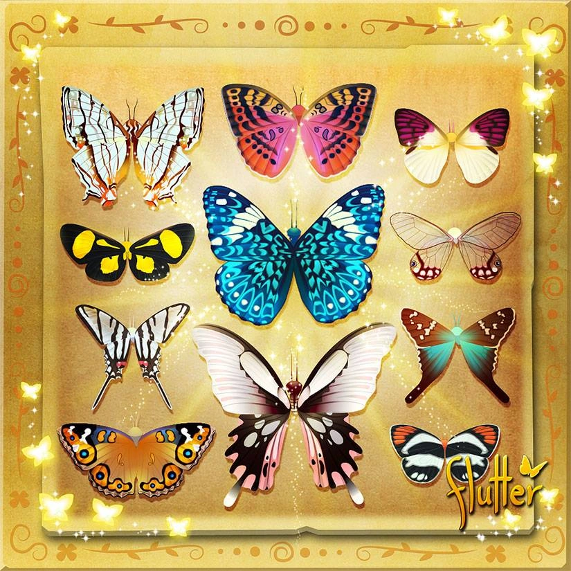 Butterfly Events Flutter Butterfly Sanctuary Wiki Fandom