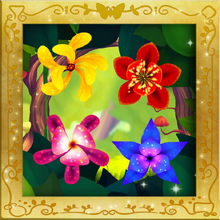 Update20130520AttractionFlowers