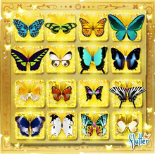 Update20130417NewButterflies