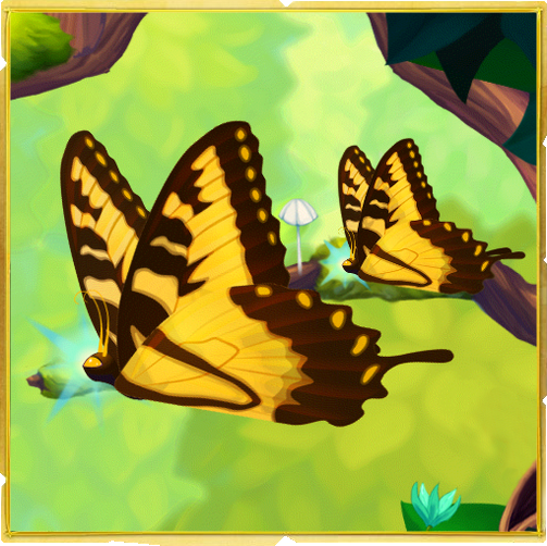 flutter butterfly sanctuary all saltar butterflies