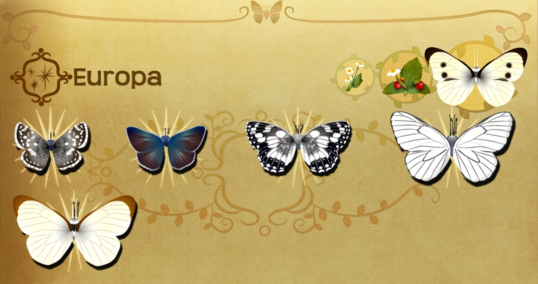 Event Sets 4 Flutter Butterfly Sanctuary Wiki Fandom