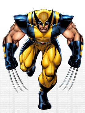 Logan Wolverine
