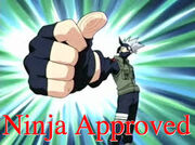 Ninja approved