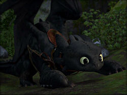 Toothless chasing light