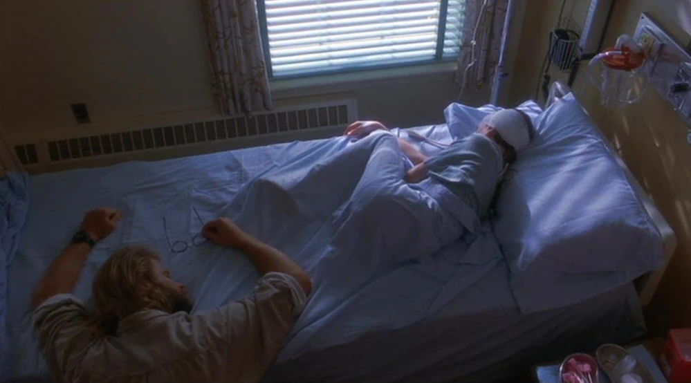 Fly Away Home Fly Away Home Wiki Fandom