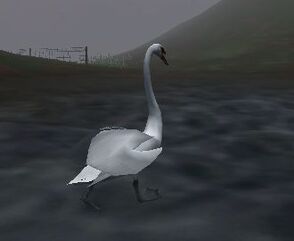 Flabswan