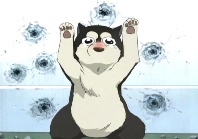 riza hawkeye dog riza hawkeye dog