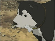 BlackHayate2