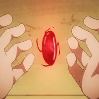 Philosopher S Stone Fullmetal Alchemist Wiki Fandom