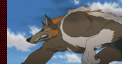 WolfChimeraFMASSOM