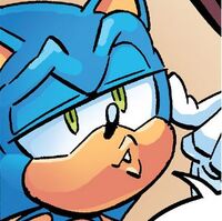 Seductive Sonic Five Nights At Freddys Roleplay Wiki Fandom