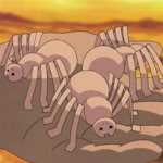 C1spiders