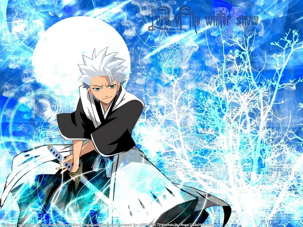 Hitsugaya Toushiro Fight of Characters Wiki FANDOM powered by Wikia
