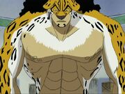 Rob Lucci Leopard