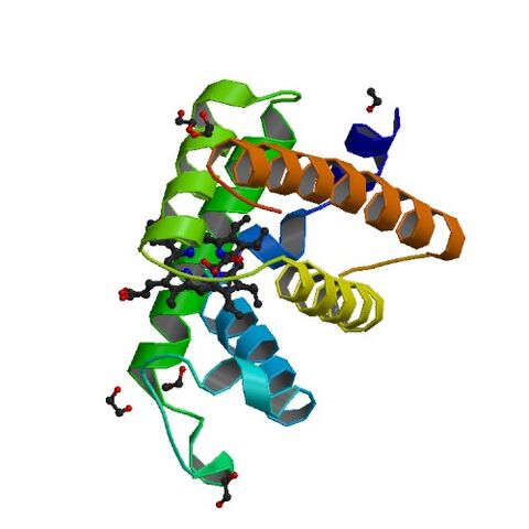 File:3QM9 bio r 500.jpg