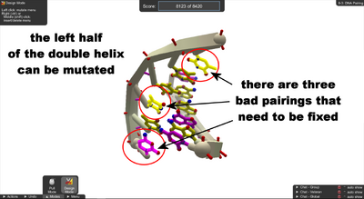 Level 8-3 DNA Pairing