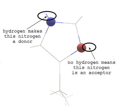 Histidine.cpk.lineh.annotated