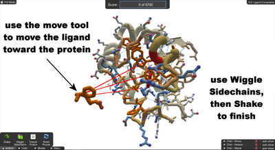 Level 8-2 Ligand Constraints